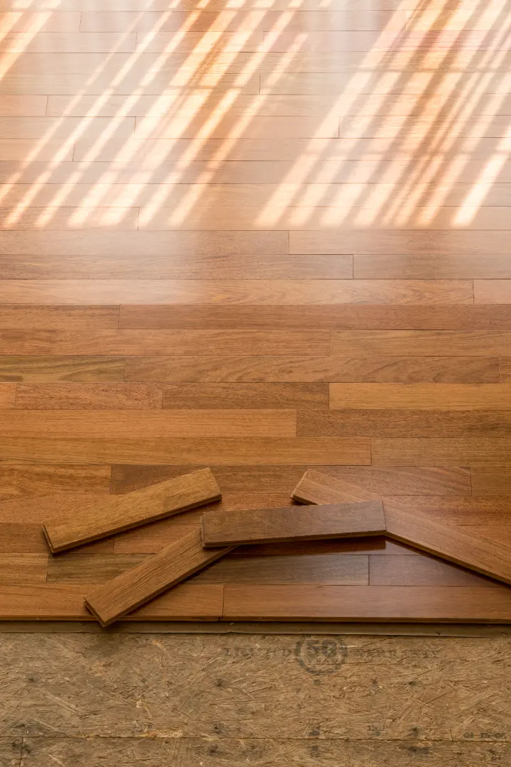 Damaged Plank Repair