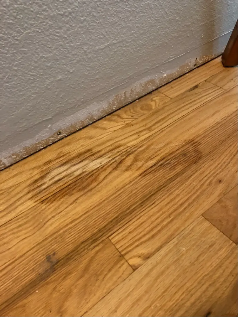 Spot Floor Repairs