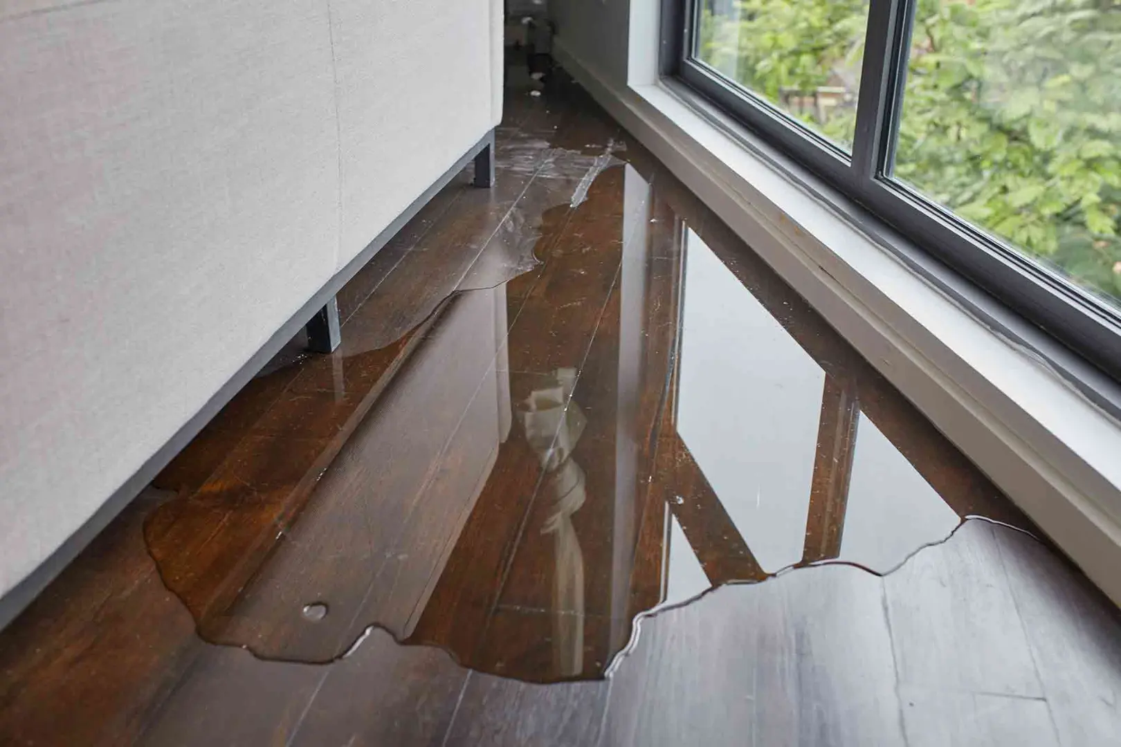 Water Damage Repair